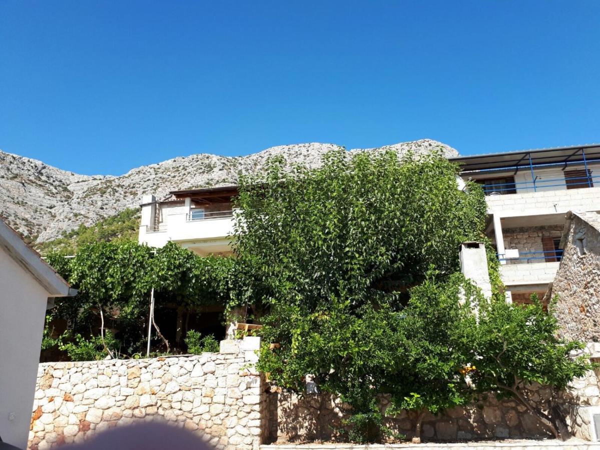 Apartments With A Parking Space Ivan Dolac, Hvar - 8753 Eksteriør bilde